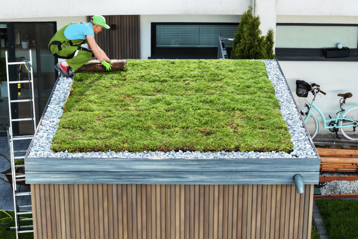 What Are Green Roof Designs